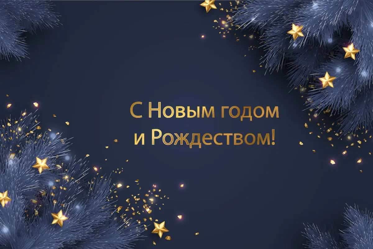 С наступающим Новым годом и Рождеством!<