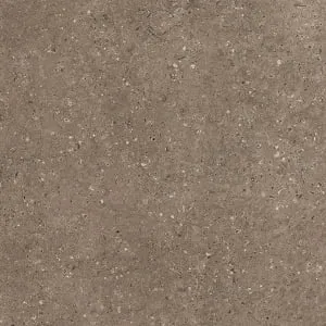 G214 Arkaim Brown КГ 60*60 матовый MR, Гранитея