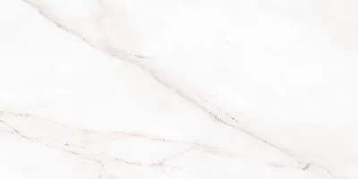 Глаз. керамогранит Pamir светло-серый ректификат 44,8x89,8 Серый 45x90 купить СПб