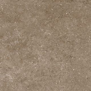 Керамогранит G214 Arkaim (Аркаим) Brown 60х60 матовый, Гранитея