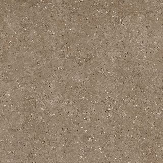 Керамогранит G214 Arkaim (Аркаим) Brown 60х60 матовый, Гранитея