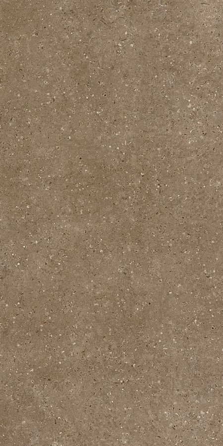 Керамогранит G214 Arkaim (Аркаим) Brown 120х60 матовый, Гранитея