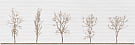 04-01-1-17-03-11-3050-0 Фореста декор 60*20, Нефрит-Керамика