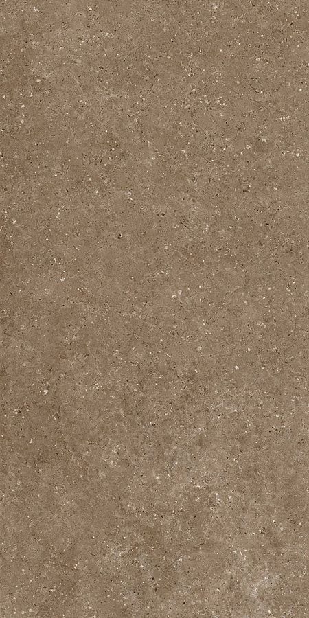 Керамогранит G214 Arkaim (Аркаим) Brown 120х60 матовый, Гранитея