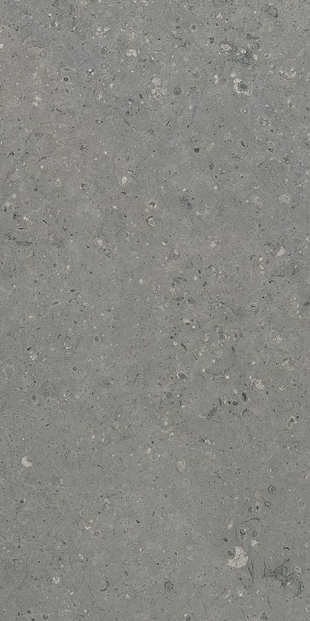 Керамогранит G213 Arkaim (Аркаим) Grey 120х60 матовый, Гранитея