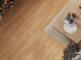 Коллекция керамогранита Bonsai Tree (Бонсаи Три) 21,8х89,8, Cersanit