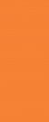 7104 Городские цветы оранжевый плитка д\стен 50*20, Керама Марацци