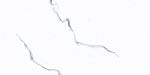 Плитка 00-00108672 Calacatta Opaco (Калакатта Опако) 31,5х63, Azori (Азори)
