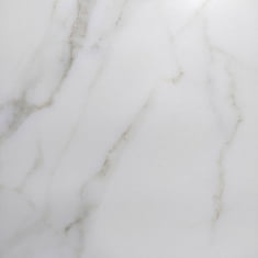 CA0H00M01 Carrara white матовый мрамор КГ 60*60, Steppe Ceramics (8 лиц)