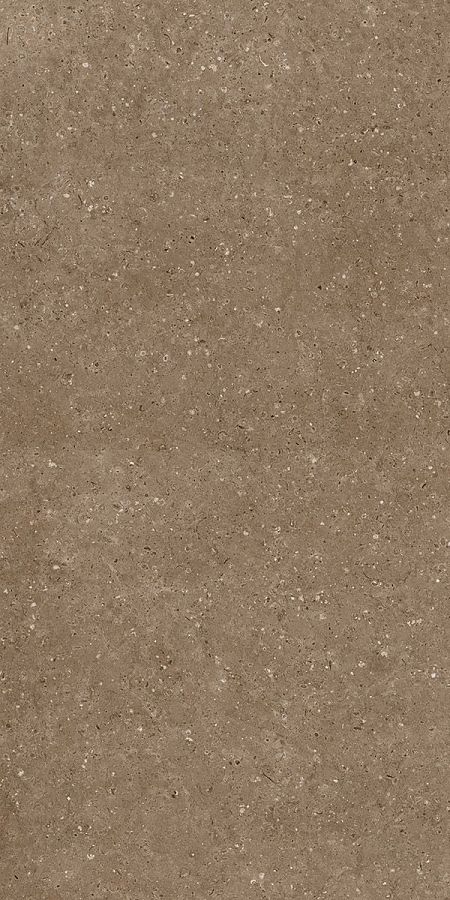 Керамогранит G214 Arkaim (Аркаим) Brown 120х60 матовый, Гранитея