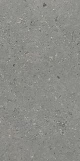 Керамогранит G213 Arkaim (Аркаим) Grey 120х60 матовый, Гранитея
