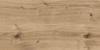 Керамогранит WS4O152 Woodhouse (Вудхаус) бежевый темный 29,7х59,8, Cersanit