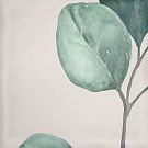 00-00108861 Mate (Матэ) Decor Greens плитка для стен 15*15, Eletto (Азори)