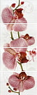 377087 Фиори (Fiori) глянцевая панно 40*100, Pieza ROSA