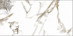 AB 1130G Oro Bianco полированный 120*60, Absolut Gres