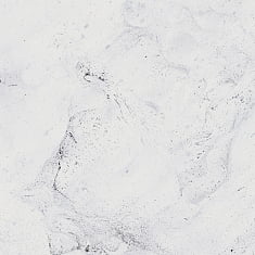 10401002330 Inverno white PG 01 матовый КГ 60*60, Gracia Ceramica
