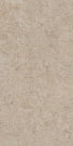 DD590500R Про Лаймстоун АТ беж темный натуральный обрезной КГ 119,5*238,5, Керама Марацци