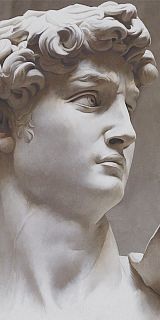 Керамический ковер VT\B564\SG591820R Давид 2 матовый обрезной 119,5х238,5х0,9, Kerama Marazzi (Керама Марацци)